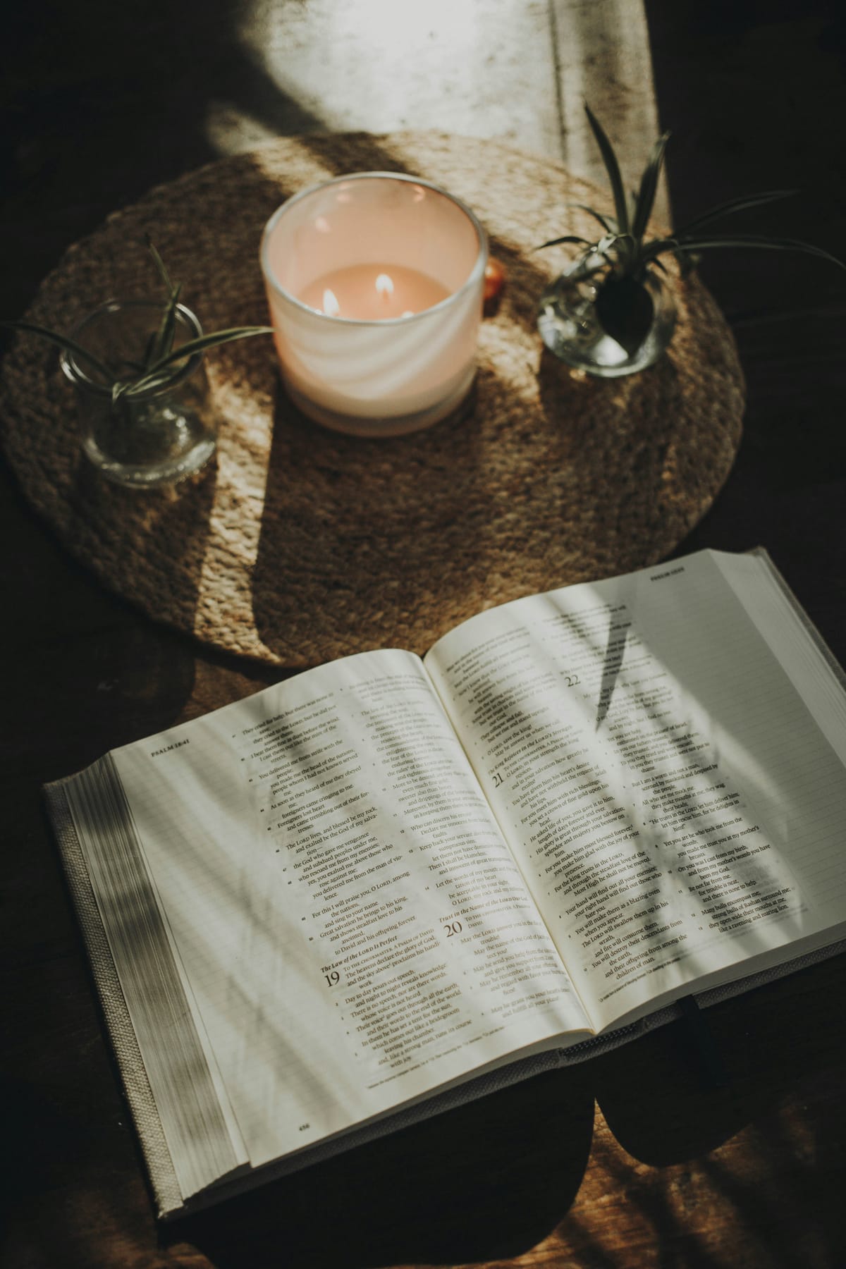 A lit candle, an open Bible, and small plants on a sunlit table.